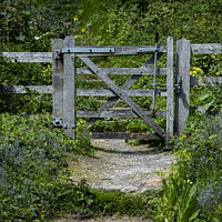 Buy canvas prints of Gate to ..... by Tom Lloyd