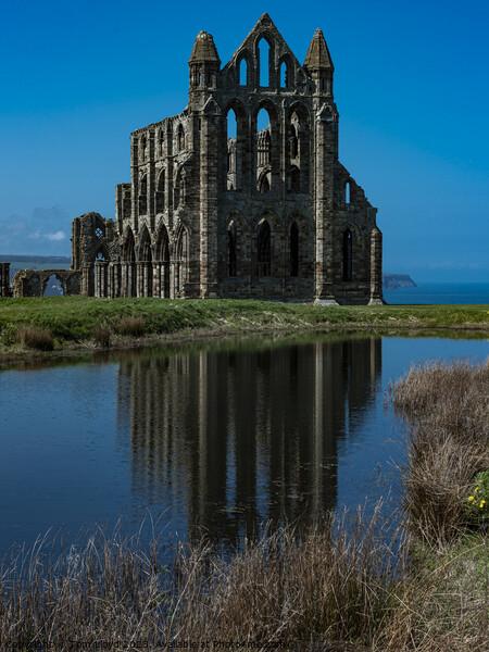 Whitby North Yorkshie Picture Board by Tom Lloyd