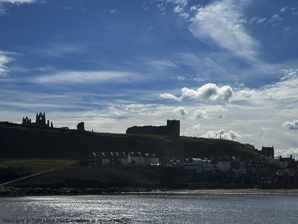 Whitby Picture Board by Tom Lloyd