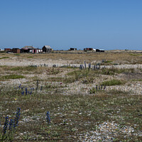 Buy canvas prints of Dungeness by Tom Lloyd