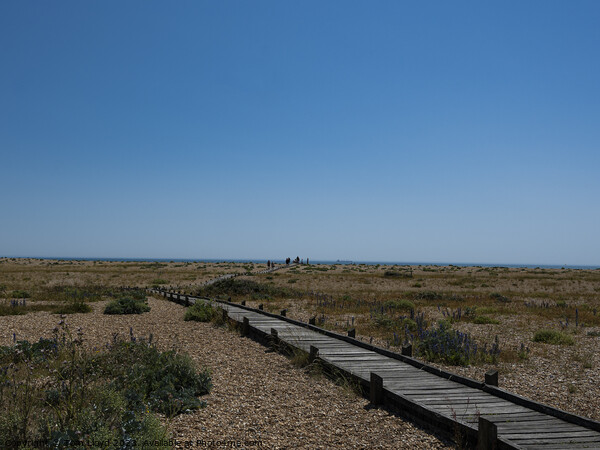 Dungeness Picture Board by Tom Lloyd