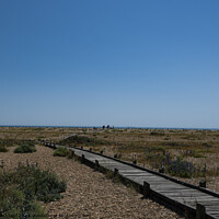 Buy canvas prints of Dungeness by Tom Lloyd