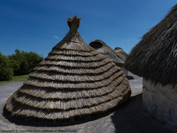 Neolithic Houses Picture Board by Tom Lloyd
