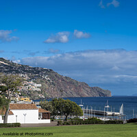 Buy canvas prints of Funchal, Madeira by Tom Lloyd