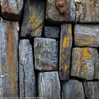 Buy canvas prints of Harbour Wall by Tom Lloyd