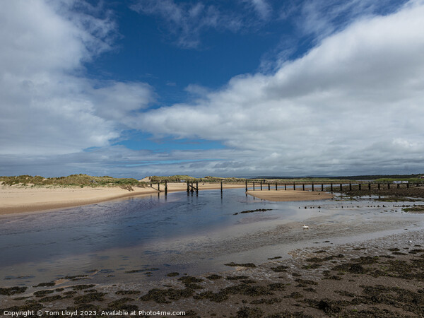 East Beach, Lossiemouth Picture Board by Tom Lloyd