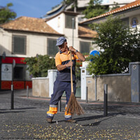Buy canvas prints of Madeira Worker by Tom Lloyd