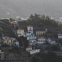 Buy canvas prints of Madeira Hillside by Tom Lloyd