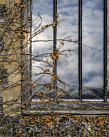 Click to show how this picture will look as a piece of wall art