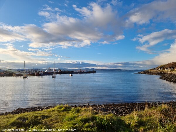 Mallaig Harbour Picture Board by TTG 