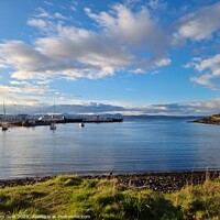 Buy canvas prints of Mallaig Harbour by TTG 
