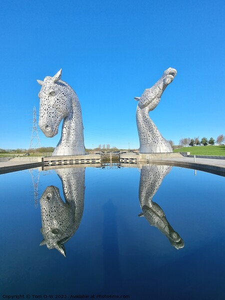 Majestic Kelpies by the Lake  Picture Board by TTG 