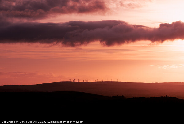 Wind Farm Dawn Picture Board by David Albutt