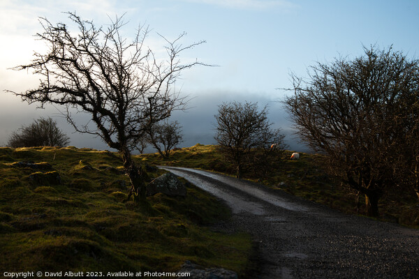 Cuilcagh Legnabrocky Trail Picture Board by David Albutt