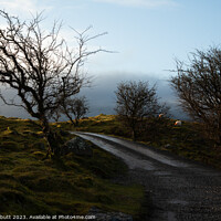 Buy canvas prints of Cuilcagh Legnabrocky Trail by David Albutt