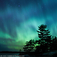 Buy canvas prints of Northern lights erupt over a lake in Minnesota in a dark sky ove by Rob Schultz