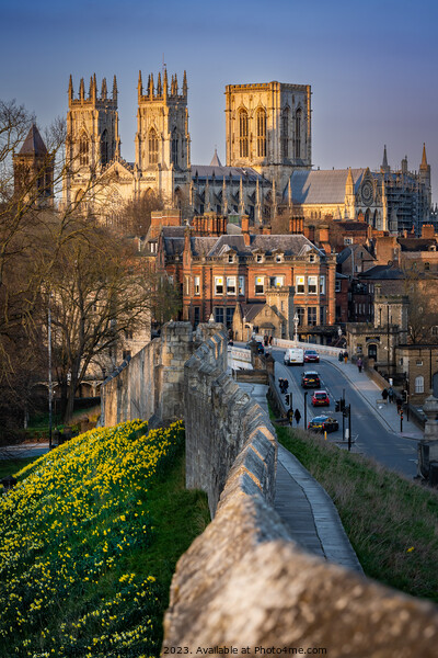York Minster Picture Board by Daniel James