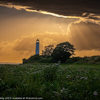 Buy canvas prints of Hale Lighthouse by Pete Mainey