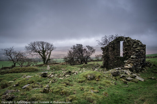 Preseli Hills, Pembrokeshire Picture Board by Pete Mainey