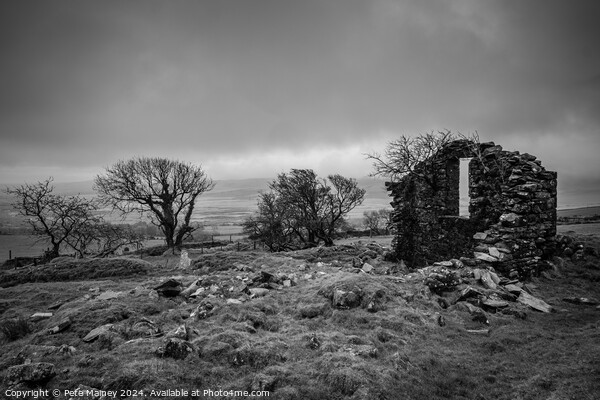 Preseli Hills, Pembrokeshire Picture Board by Pete Mainey
