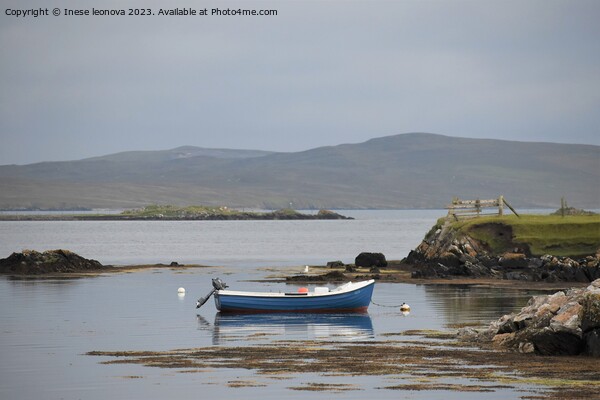 seaside in Shetland Picture Board by Inese leonova