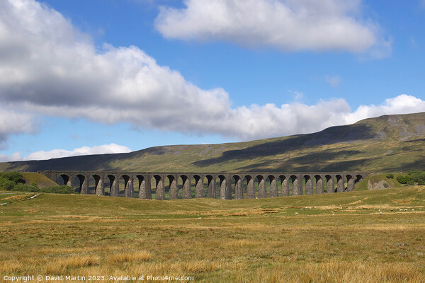 The Ribblehead Viaduct in Yorkshire Picture Board by David Martin