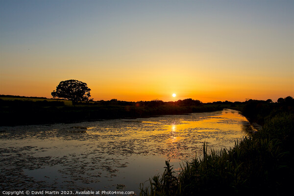 Sunset over the canal. Picture Board by David Martin