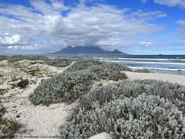 Table Mountain from Bloubergstrand Picture Board by PT Ridge