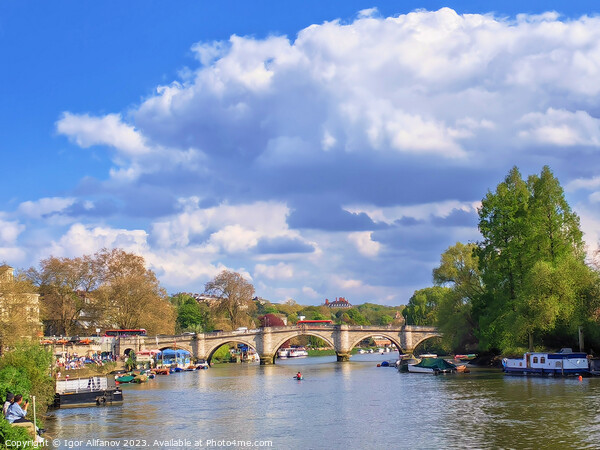 Thames View From Richmond Picture Board by Igor Alifanov