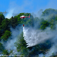Buy canvas prints of Forestry Fire by David Harris