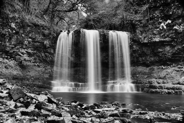 Ystradfellte Waterfall Black and White Picture Board by David Harris