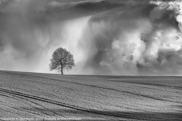 Lone Tree Amongst the Drama Picture Board by Paul Martin