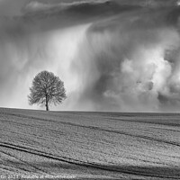 Buy canvas prints of Lone Tree Amongst the Drama by Paul Martin