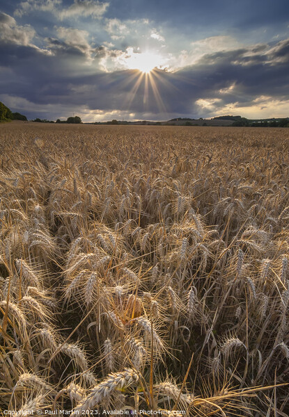 Sunburst over Wheatfield Picture Board by Paul Martin