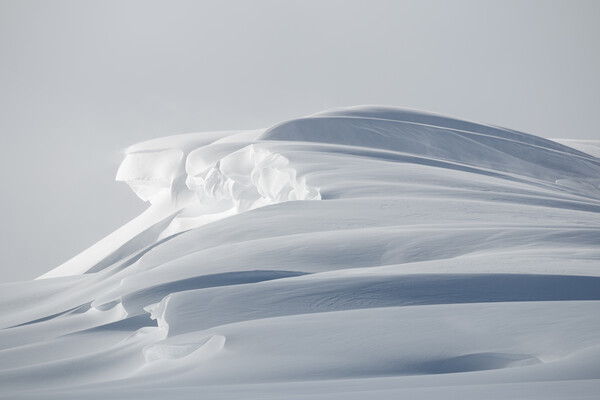 Snowdrift Picture Board by Alex Fukuda