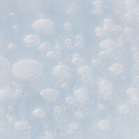 Buy canvas prints of Ice Bubbles by Alex Fukuda