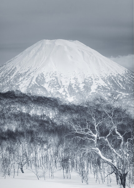 Mount Yotei Picture Board by Alex Fukuda