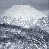 Buy canvas prints of Mount Yotei by Alex Fukuda