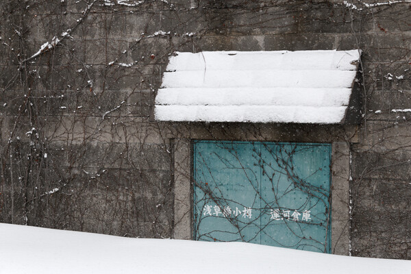 Blue Door Picture Board by Alex Fukuda