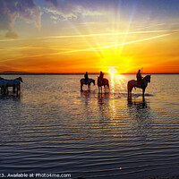 Buy canvas prints of Camargue Horses at Sunrise by Garry Bree