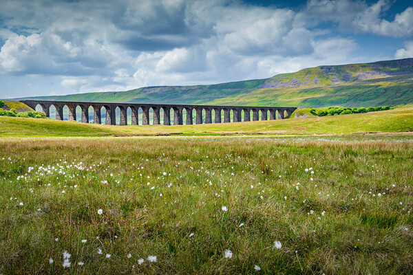 Whernside and Flowers Picture Board by Paul Grubb