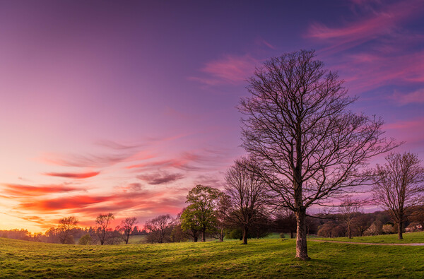 Purple Sunset over Wharfedale Picture Board by Paul Grubb