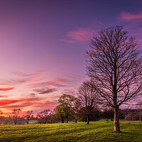 Buy canvas prints of Purple Sunset over Wharfedale by Paul Grubb