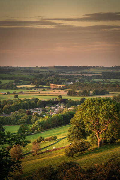Arthington Viaduct at Golden Hour Picture Board by Paul Grubb