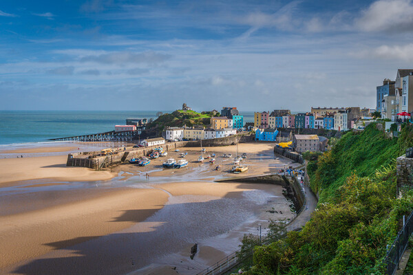 Tenby Harbour View Picture Board by Paul Grubb