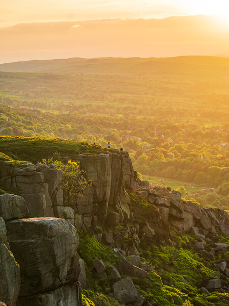 Ilkley Cow and Calf Sunset Picture Board by Paul Grubb