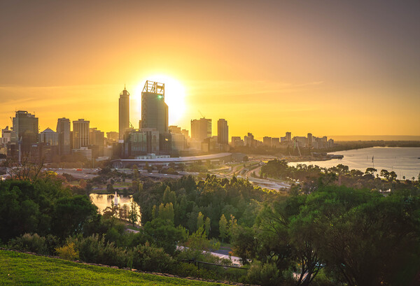Perth Sunrise from Kings Park Picture Board by Paul Grubb