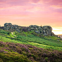 Buy canvas prints of Cow and Calf Red Sky Panorama by Paul Grubb