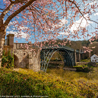 Buy canvas prints of Iron Bridge Blossom by David Macdiarmid