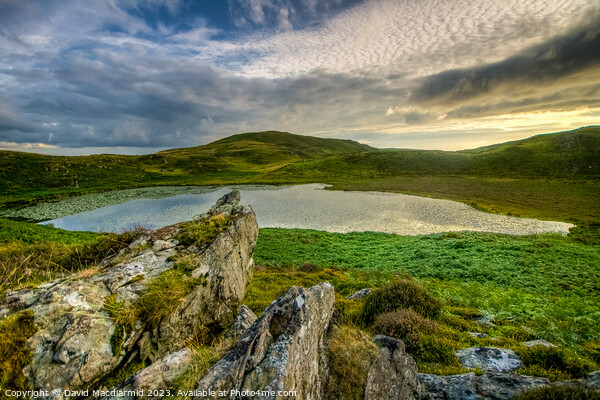 Bearded Lake, Wales Picture Board by David Macdiarmid